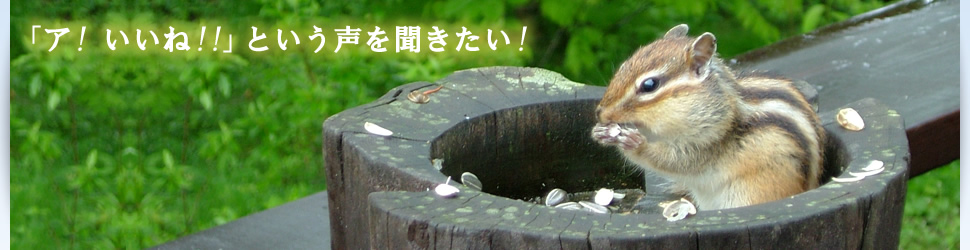 「ア!、いいね!!」という声を聞きたい！